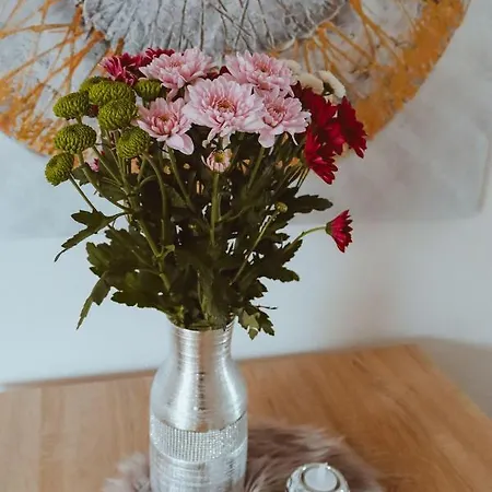Apartamento Studio-an-der-ilmenau